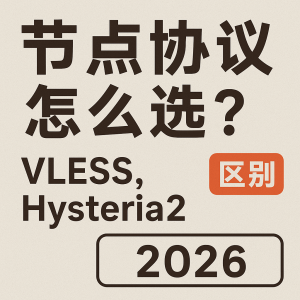 节点协议怎么选？VLESS、Hysteria2 区别（2026）