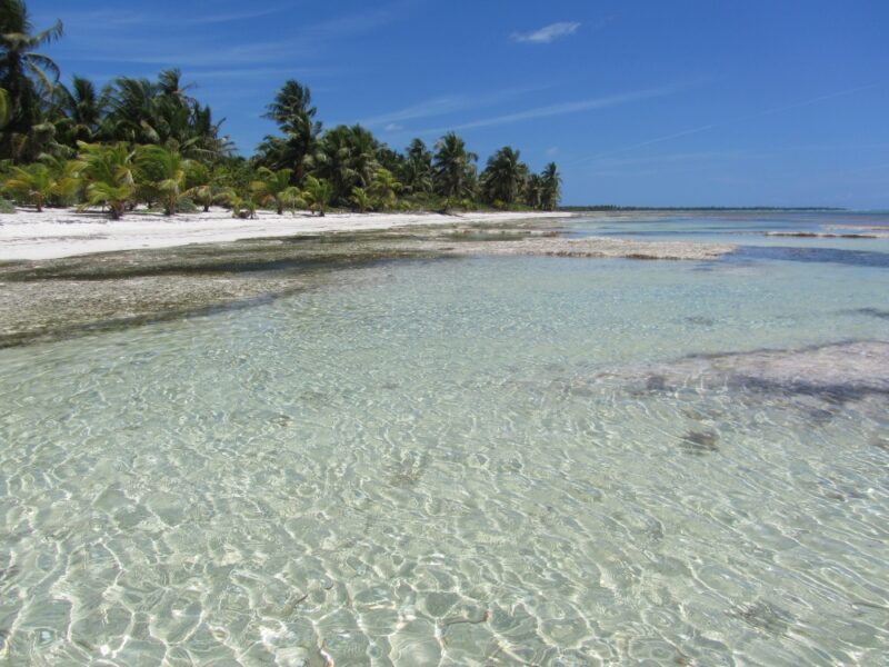 Bacalar