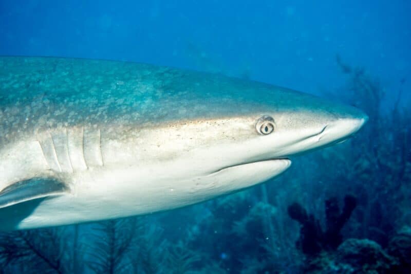 Belize_0146