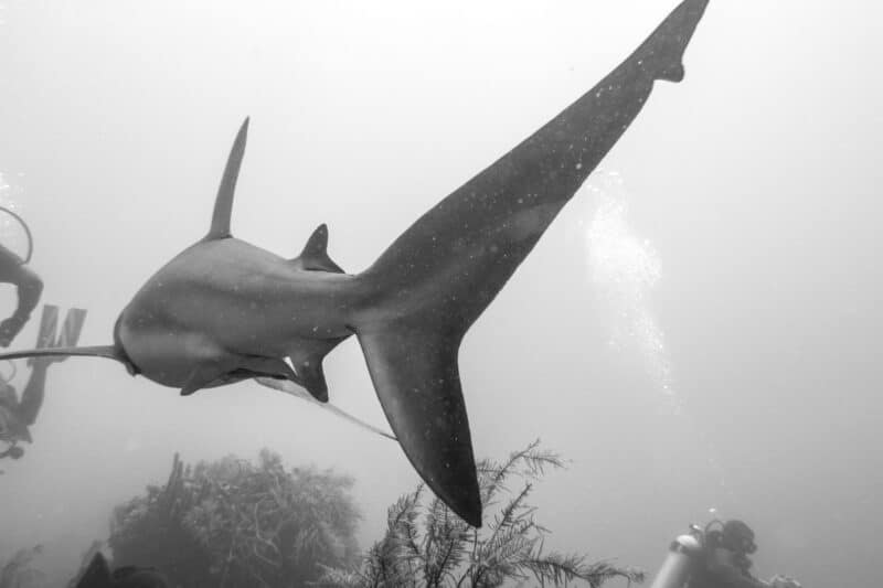 Belize_0246