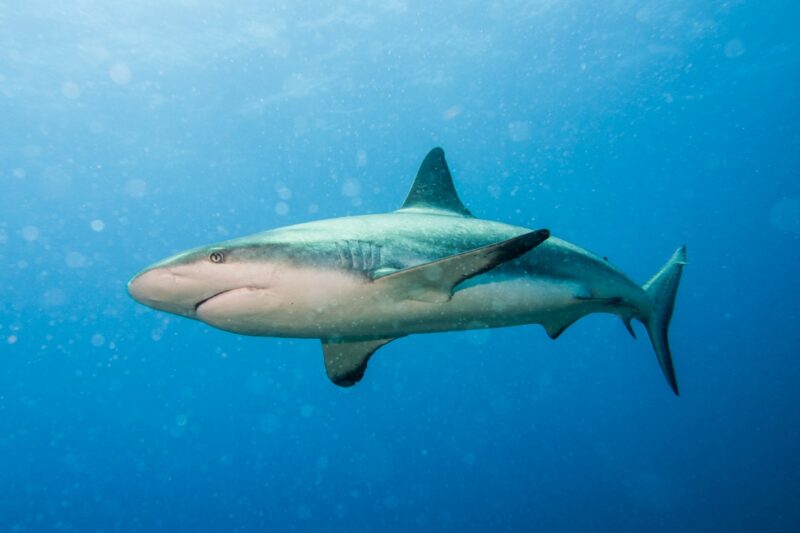 Belize_0273