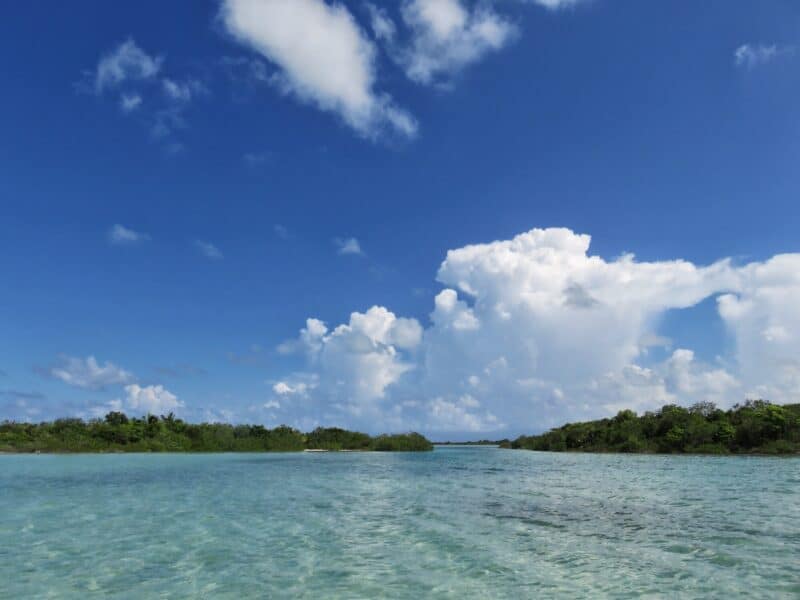 Cut in Cayo Frances Ambergris Caye Belize