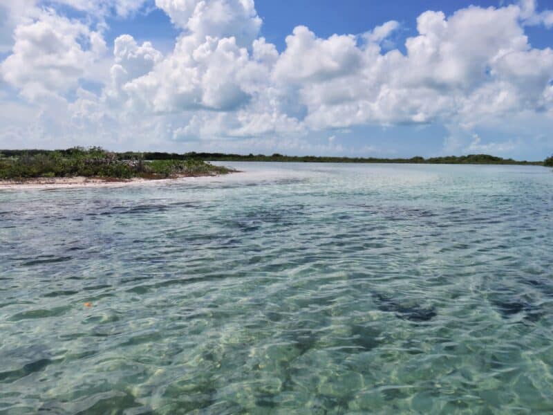 Cayo Frances Ambergris Caye Belize