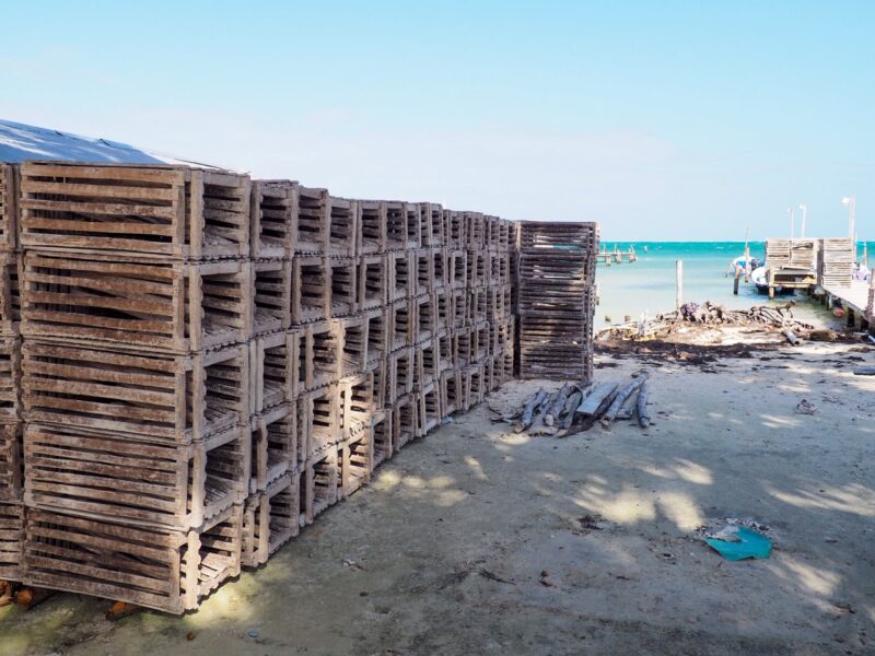 Lobster Traps