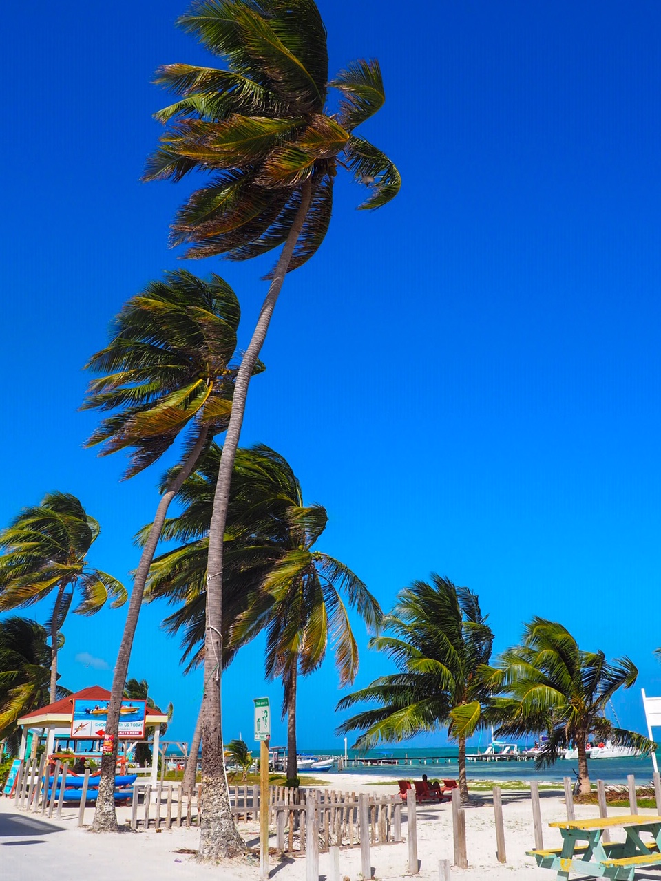 Caye Caulker Main Road