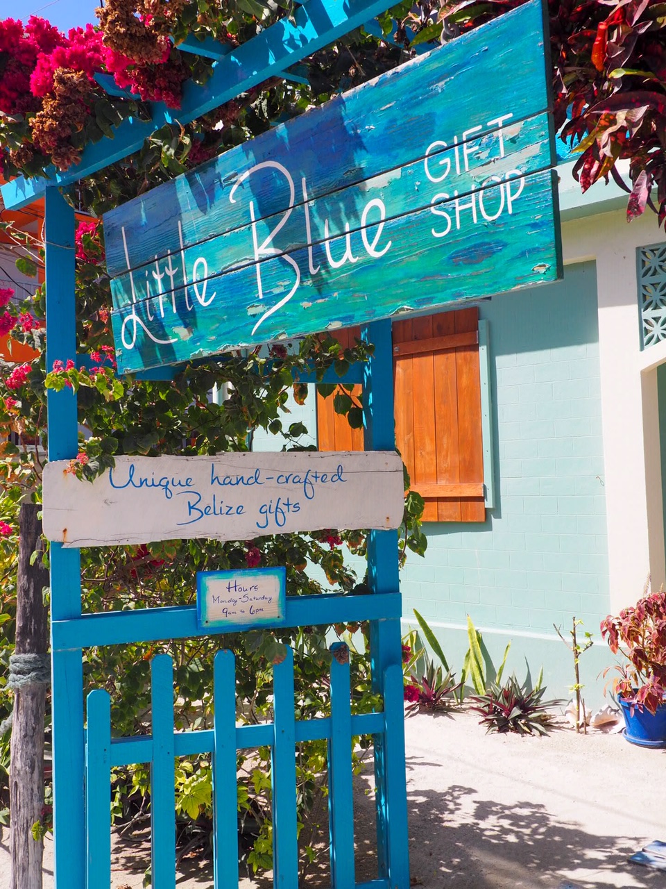 Little Blue Store