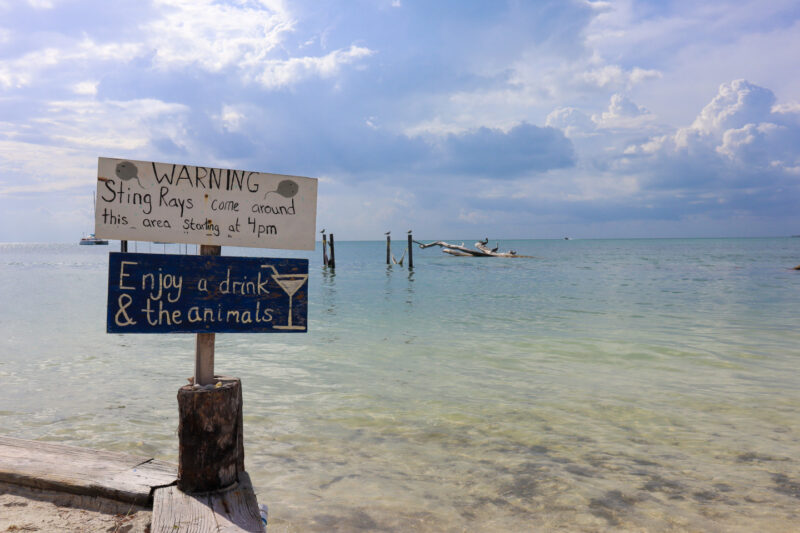 Sting Ray Warning