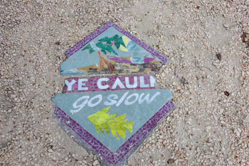 Go Slow Sign
