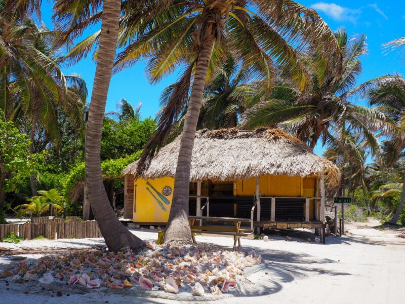 El Norte Bar