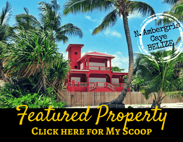 Beautiful Vida del Caribe private home for sale on Ambergris Caye, Belize - the reef, the beach, the birds and wildlife. WOW.