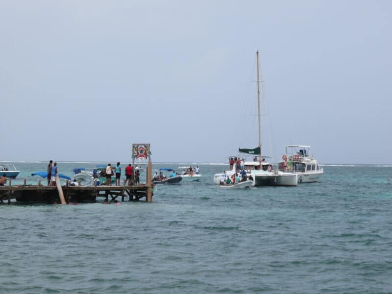 IMG_0685