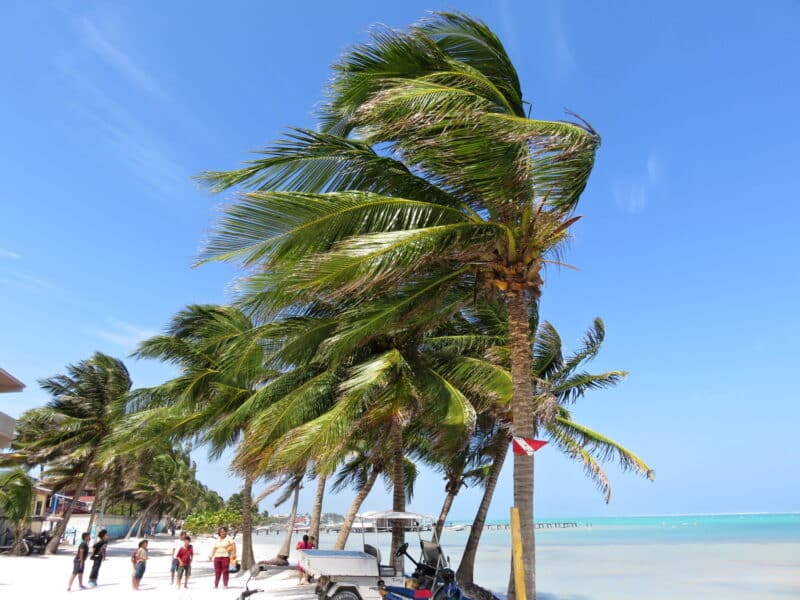 The shore in Boca Del Rio, just north of town.