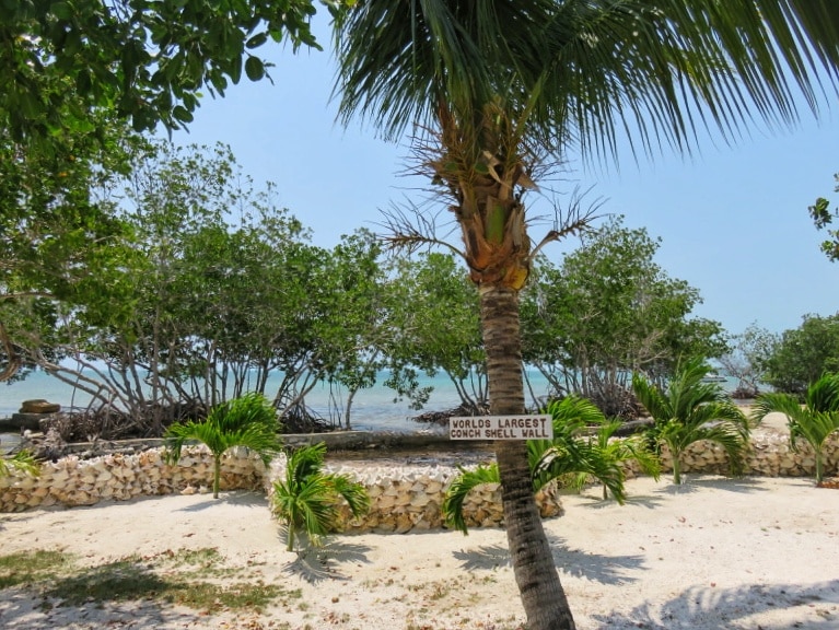 Largest Conch Shell Wall in the World Caye Caulker Belize