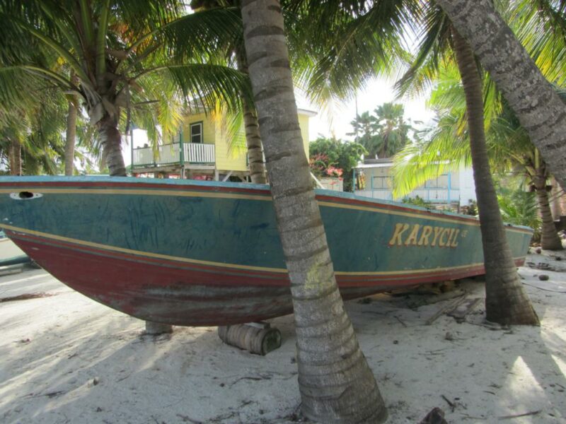 IMG_2993_1024x768