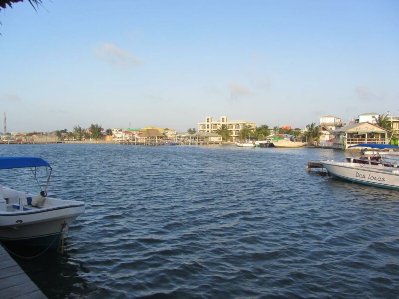 IMG_3339_1024x768