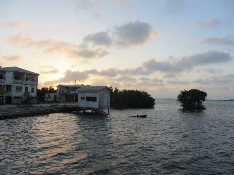 IMG_3346_1024x768