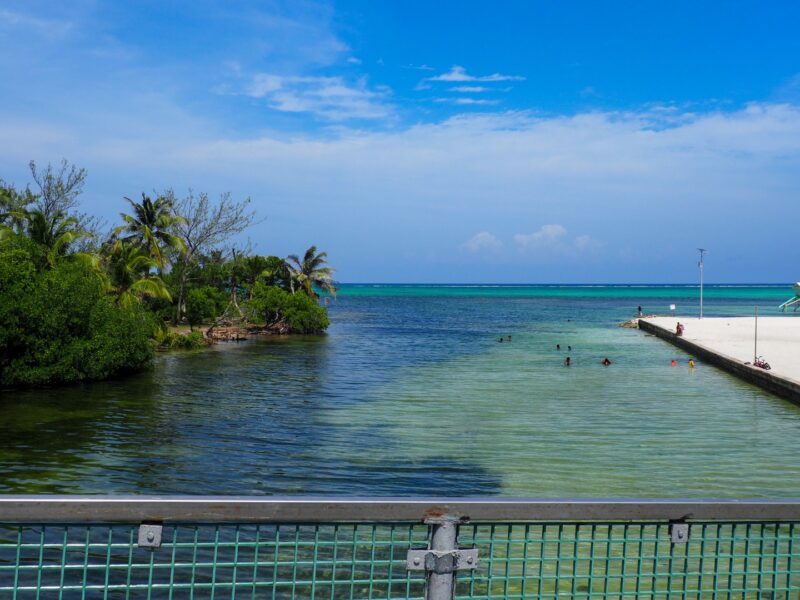 The Bridge San Pedro