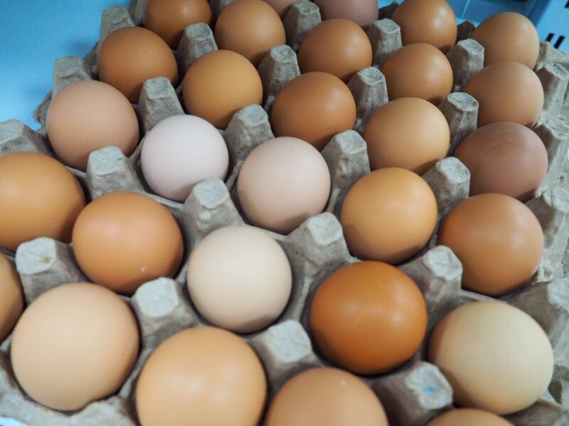 Free Range Eggs Caribbean Chicken