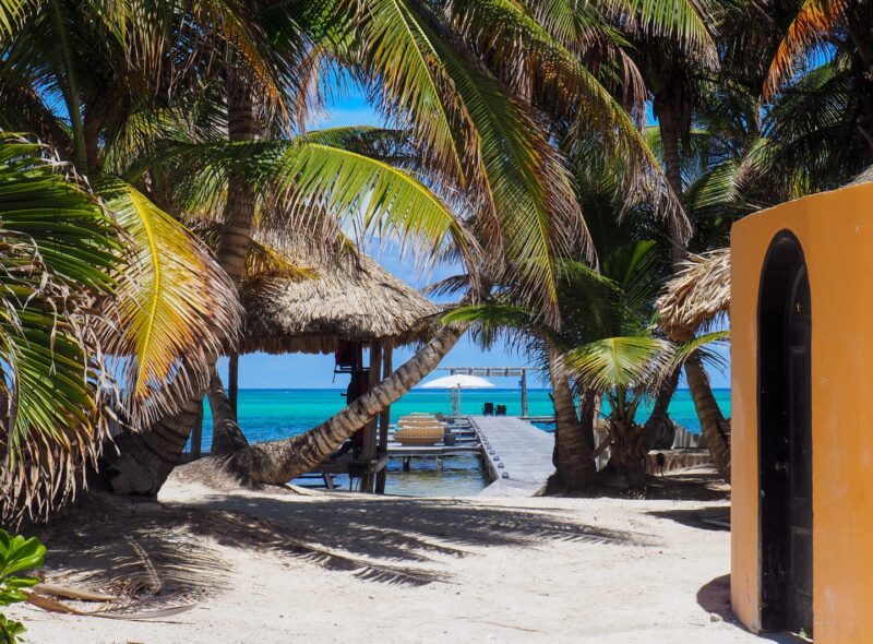 Coconut Trees Mata Chica