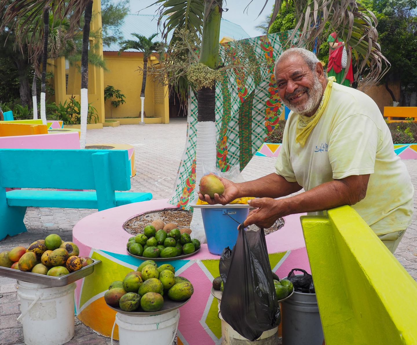 Selling mangos in Central Park
