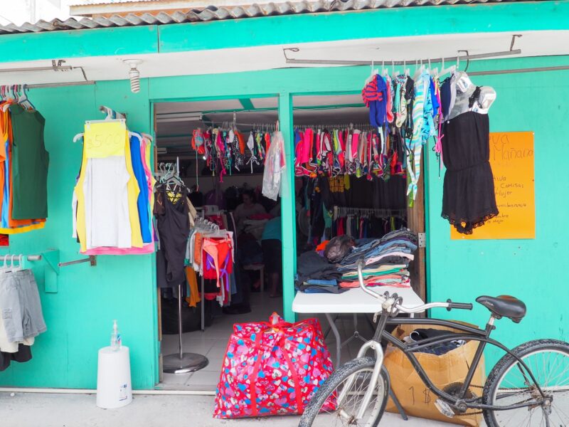Pacas San Pedro