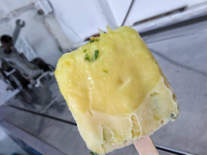 Paleta (7)