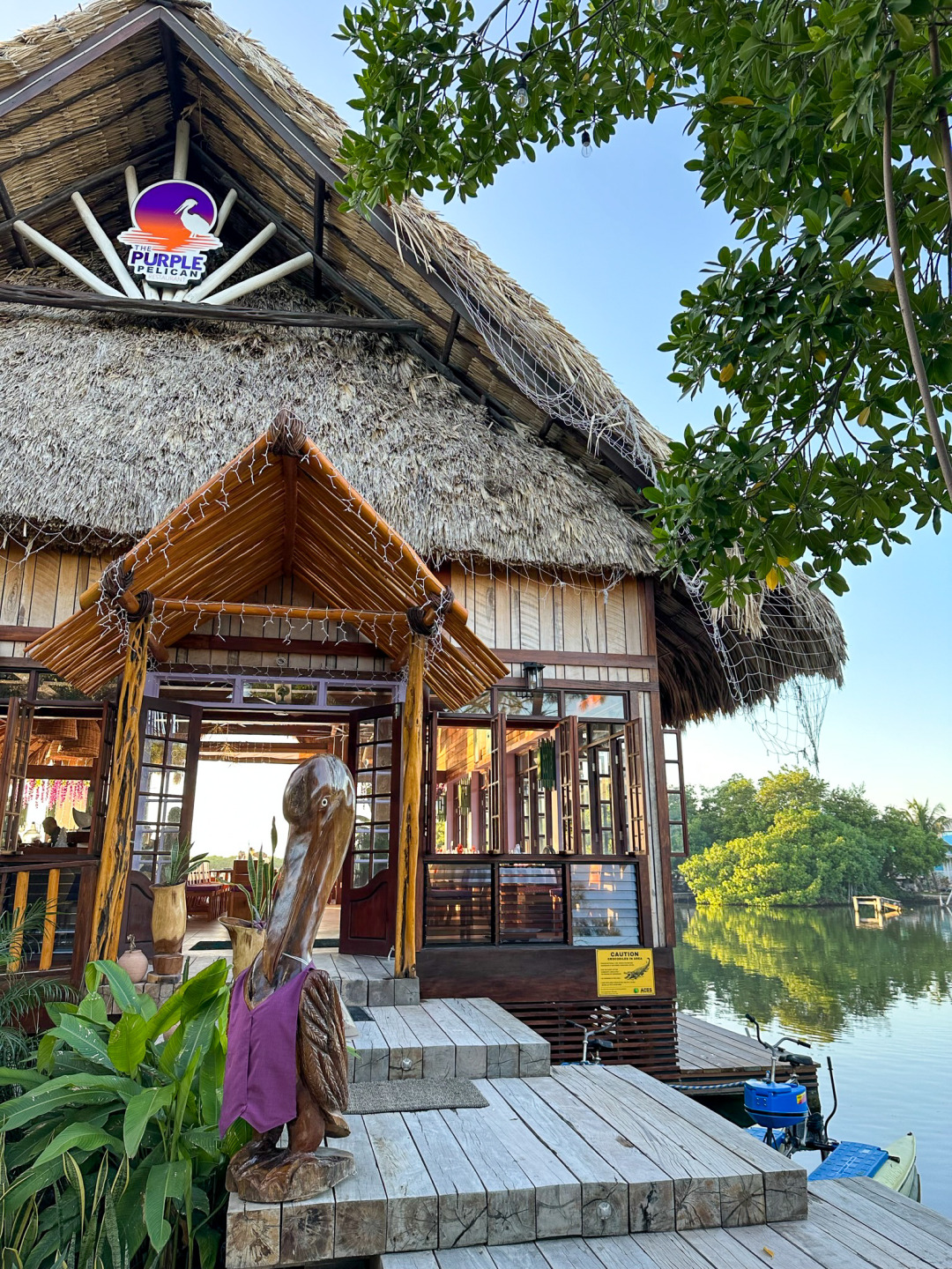 Purple Pelican Outside