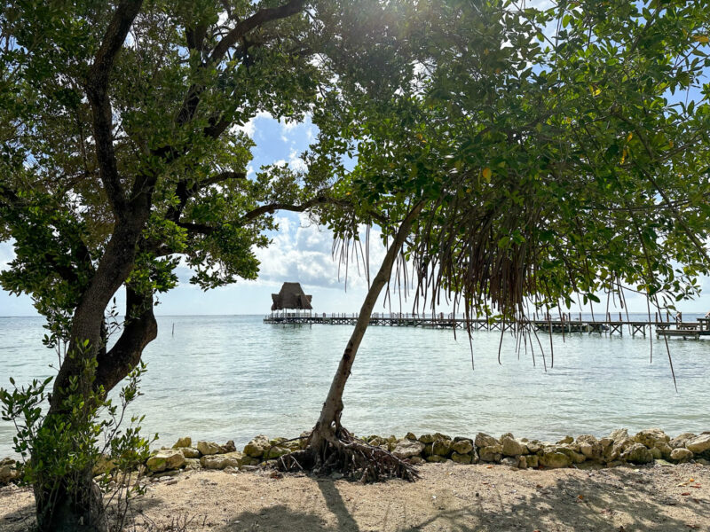 Dock at Margaritaville