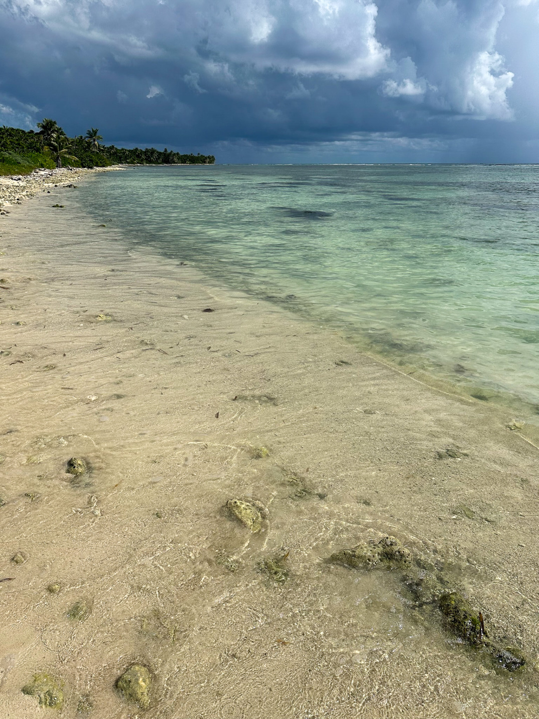 Rocky Point