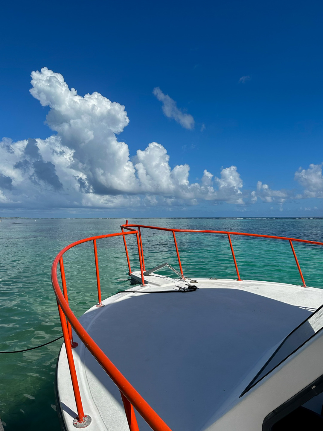 Diving Boat at Tranquility Bay