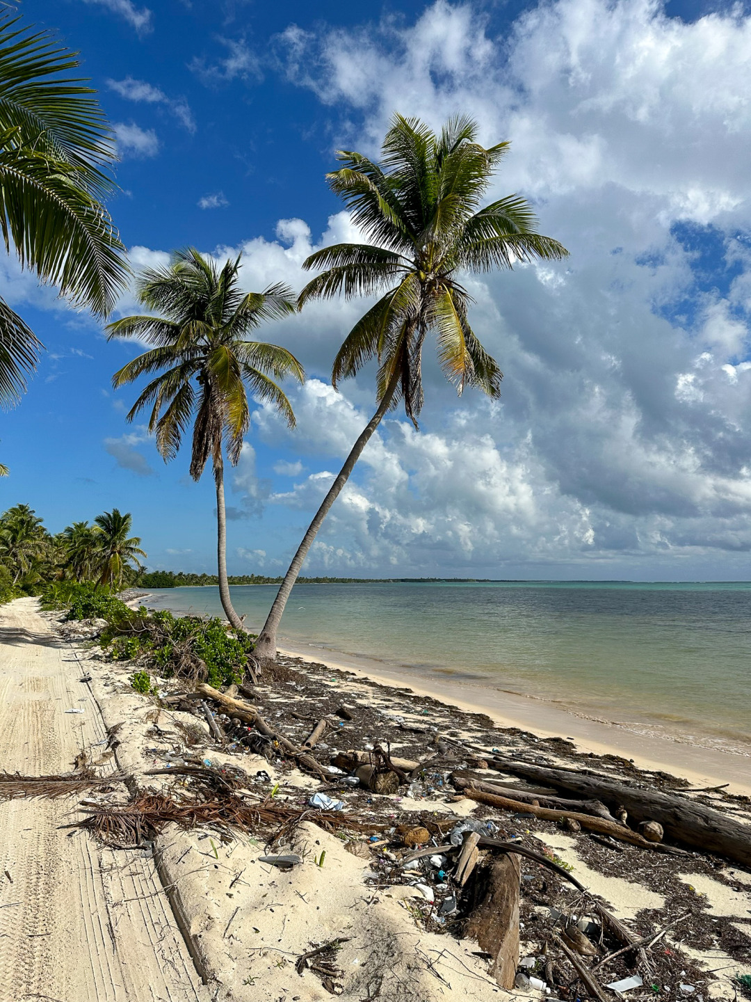 Beach North