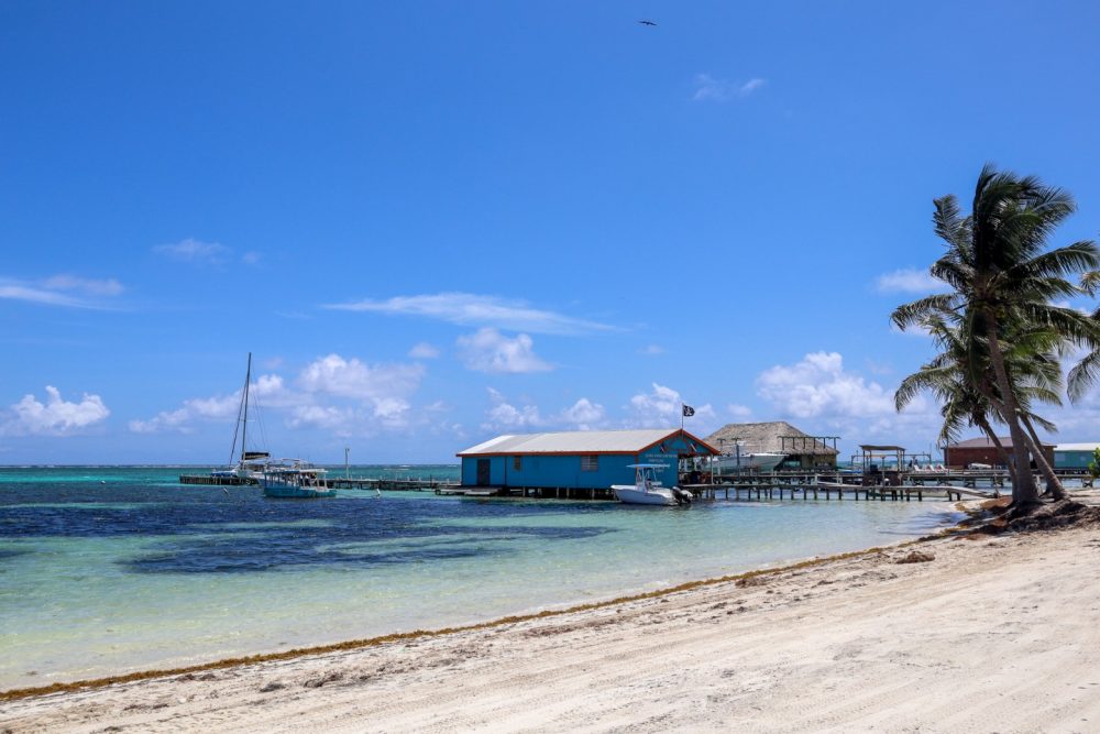 Chuck and Robbie's Dive Shop in September