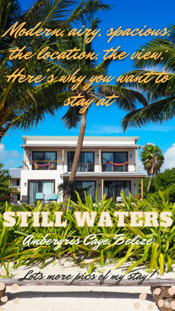Still Water Rental House San Pedro Belize