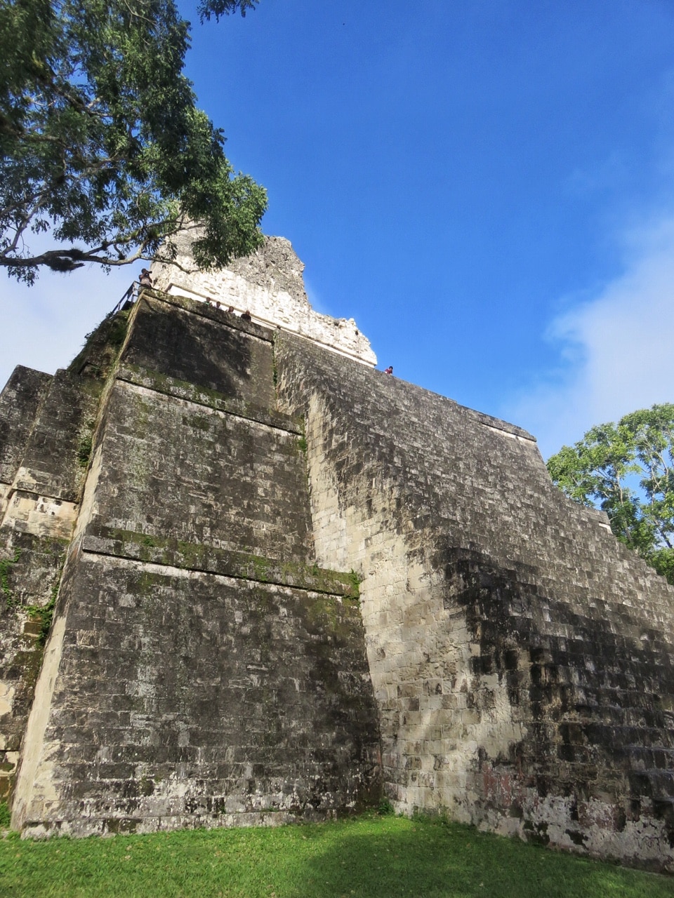 tikal4-4
