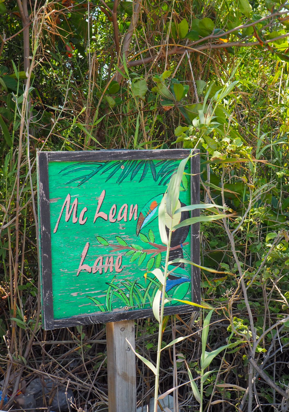 McLean Lane