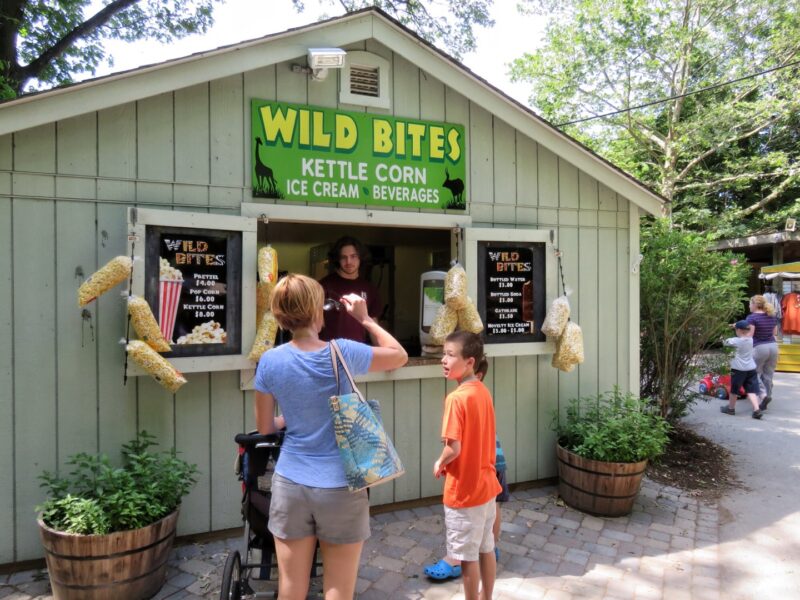 Zoo (2)