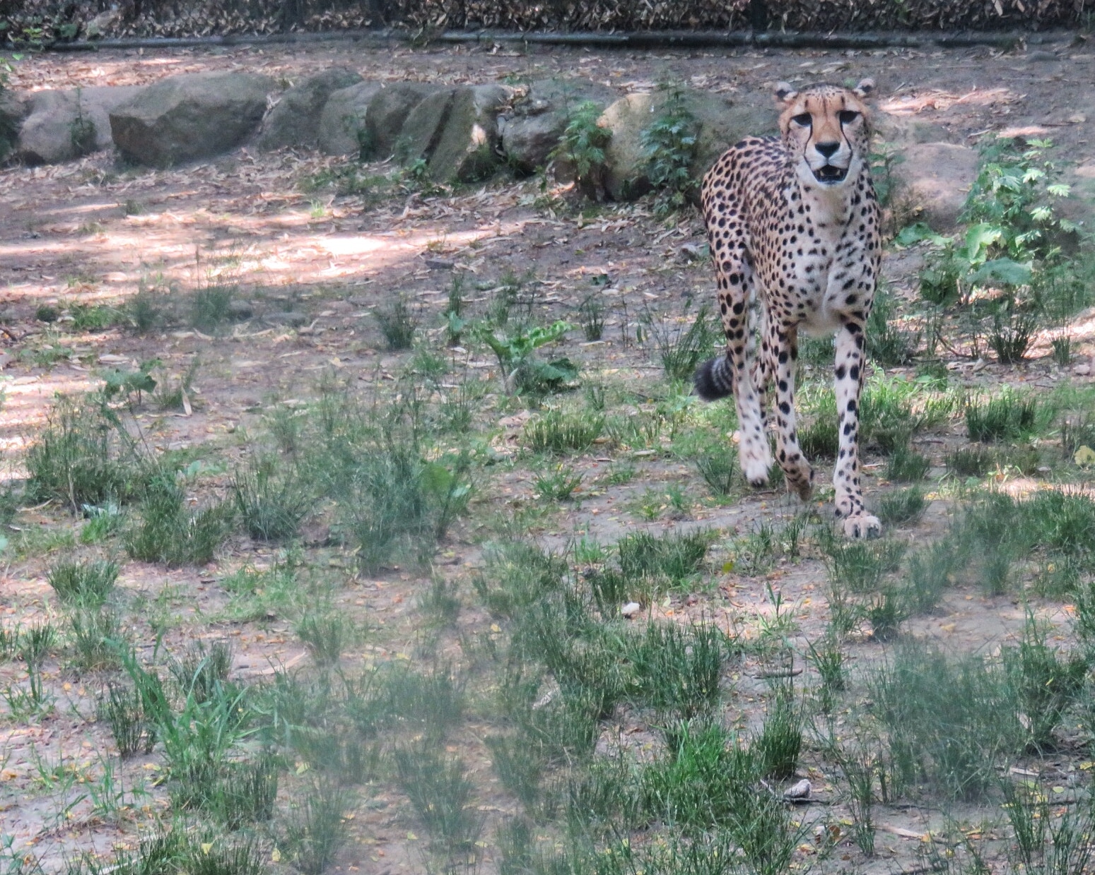 Zoo (3)