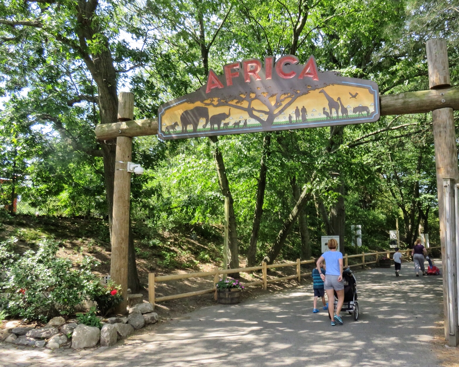 Zoo (4)