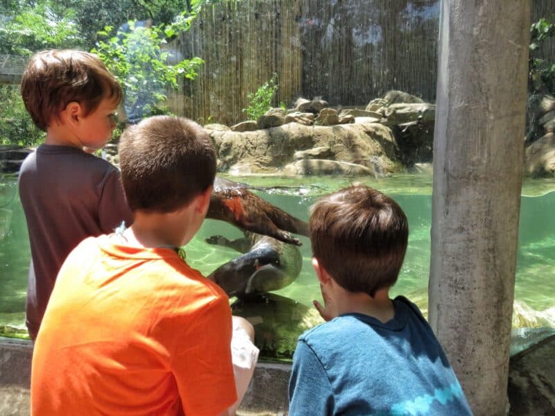 Zoo1 (1)