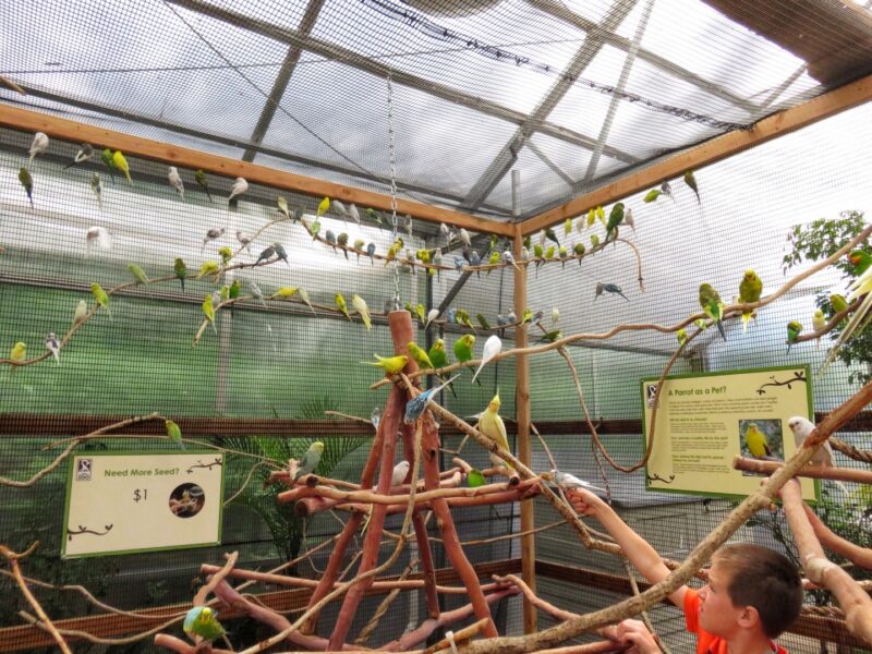 Zoo2 (1)