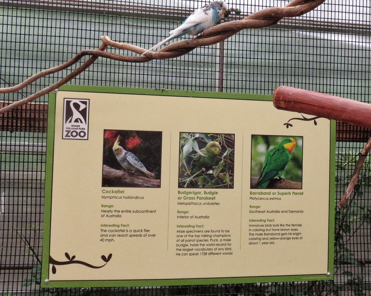 Zoo2 (6)