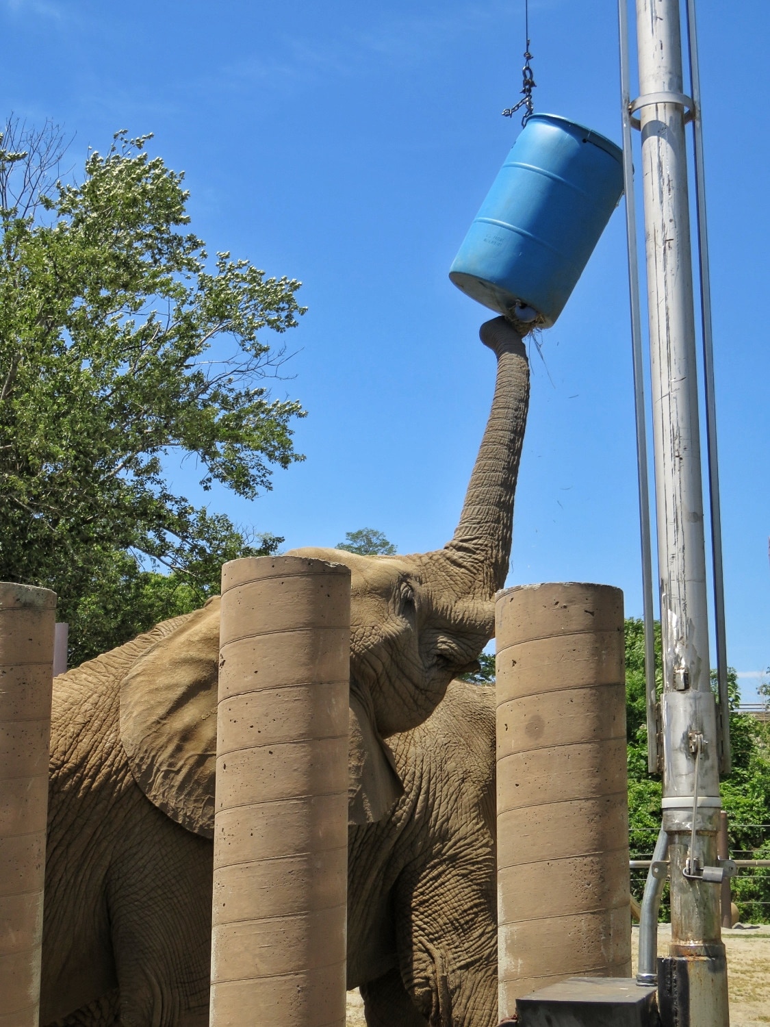 Zoo3 (6)