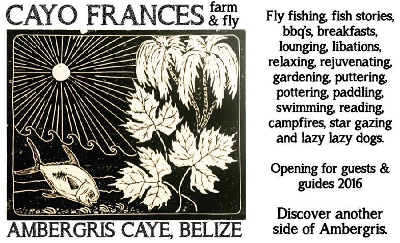 camp-card