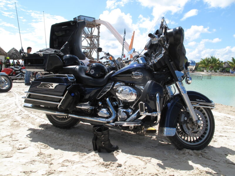 harley