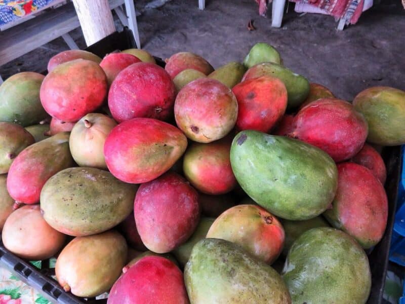 mango