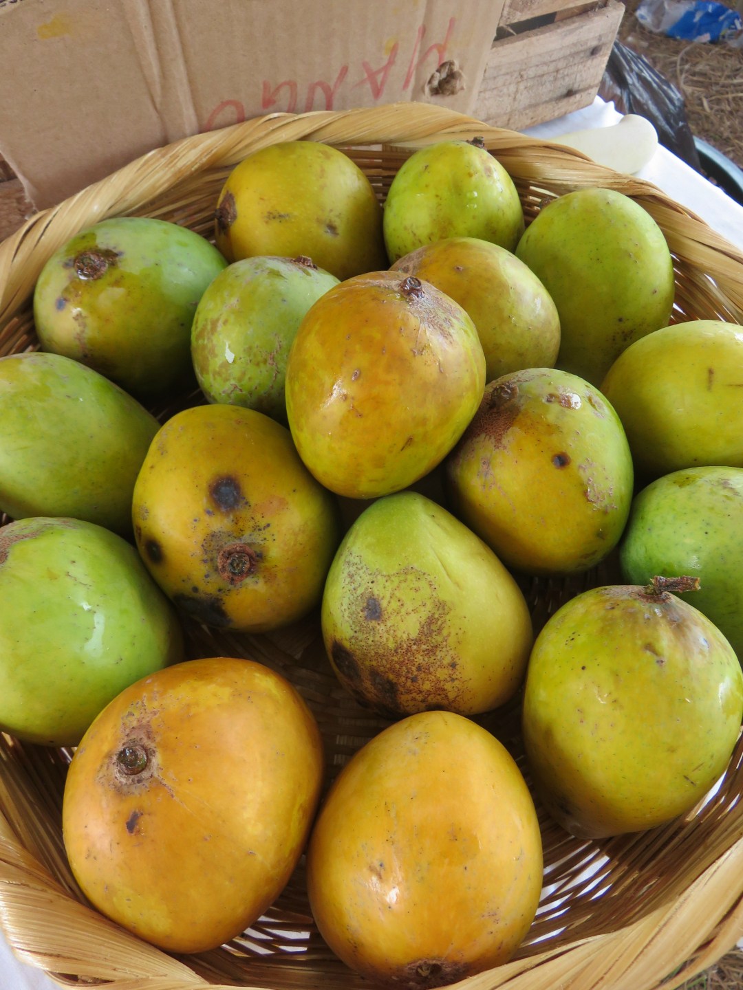 mango green