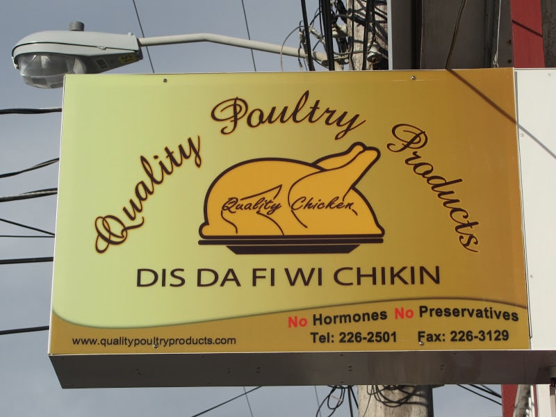 This is the chicken for we!