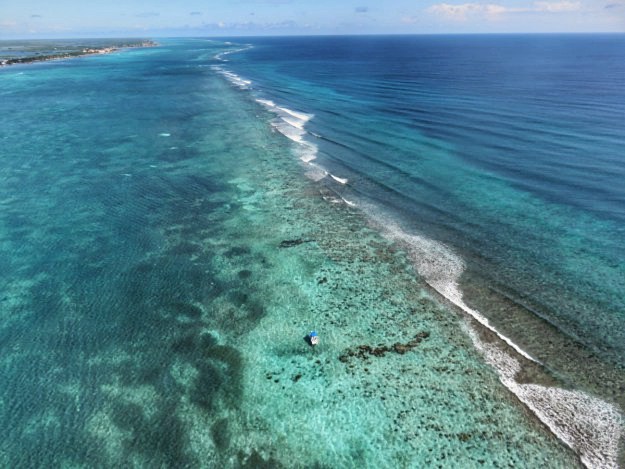 reef