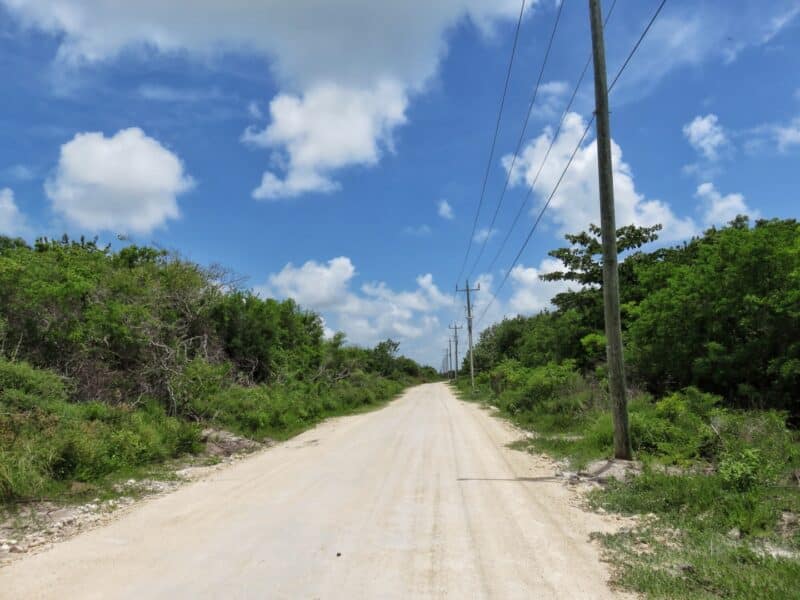 road4 (4)