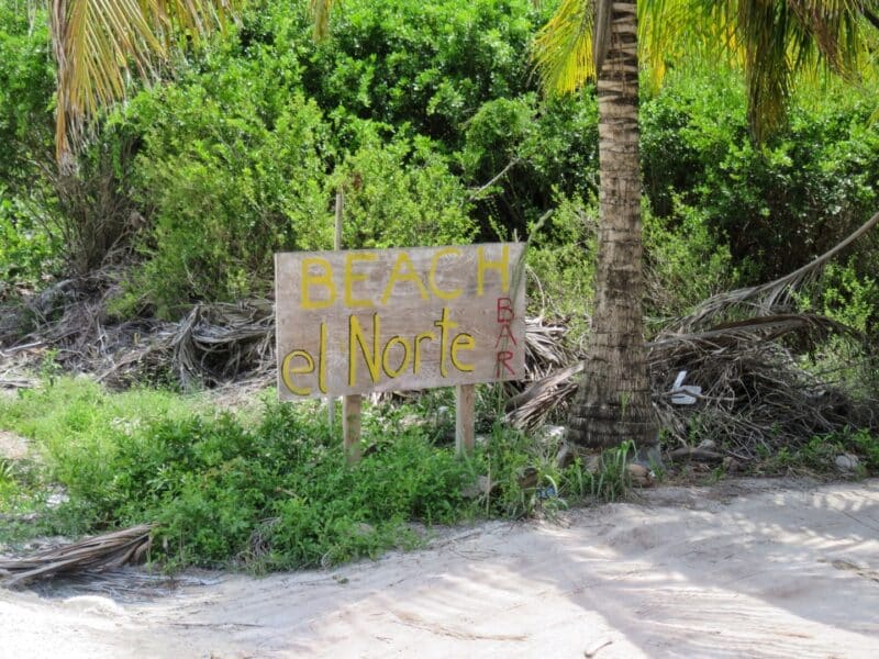 road4 (7)